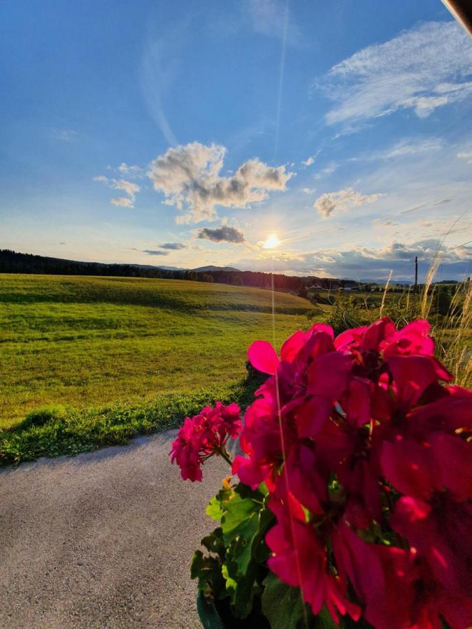Apartma Sveti Duh Nova Vas  Exteriér fotografie