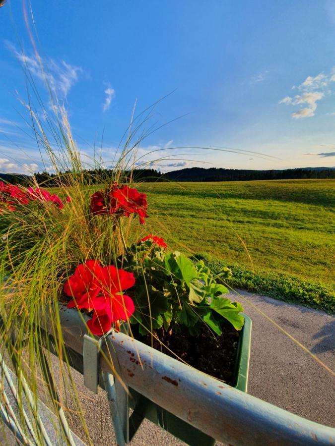 Apartma Sveti Duh Nova Vas  Exteriér fotografie
