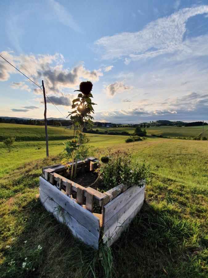 Apartma Sveti Duh Nova Vas  Exteriér fotografie